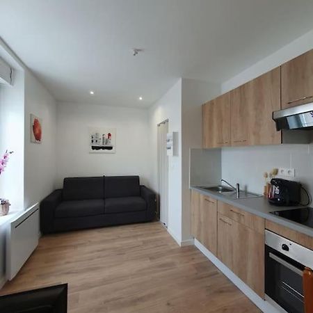 Studio Coquelicot Apartment Nancy Bagian luar foto