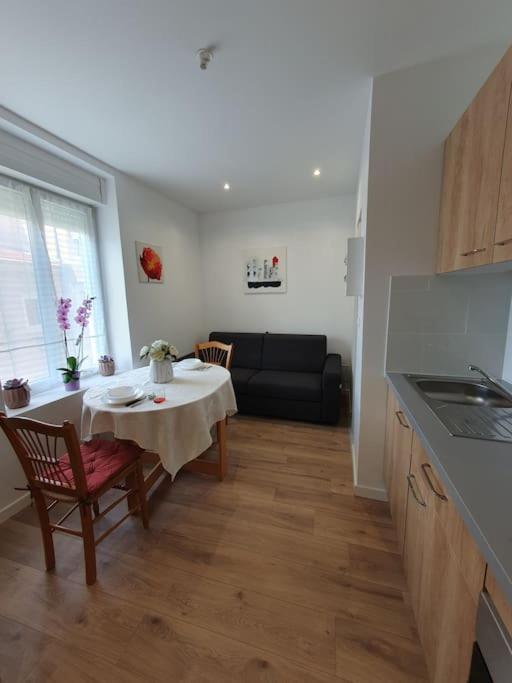 Studio Coquelicot Apartment Nancy Bagian luar foto