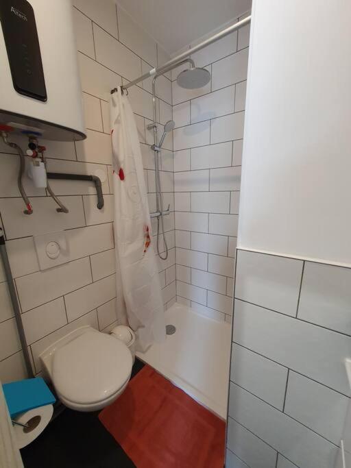 Studio Coquelicot Apartment Nancy Bagian luar foto